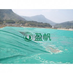 沼氣池HDPE防滲漏土工膜 沉淀池防水HDPE土工膜 儲油罐土工膜廠家