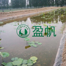 泥鰍黃鱔專用HDPE膜  魚(yú)池土工膜 牛蛙養(yǎng)殖防滲膜  全新料養(yǎng)殖薄膜  護(hù)坡專用膜