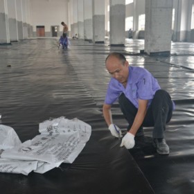 屋頂綠化 地面防潮 地下室防潮 倉庫防滲  地下室頂部耐根穿刺  廠房屋頂防滲