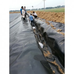 四川出口級hdpe防滲膜  垃圾填埋場土工膜 沼氣池土工膜