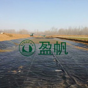 鹽場(chǎng)結(jié)晶池土工膜 鹵水池沾蓋土工膜   鹽膜土工膜