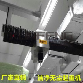 四川凈化工程無塵天車廠家,防靜電無塵天車,無塵醫(yī)療醫(yī)用起重機設(shè)備