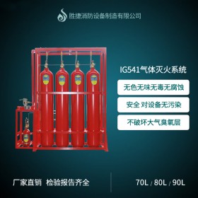 ig541氣體滅火系統(tǒng)自動(dòng)滅火裝置廠家采購抵用券541元