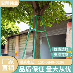 鋼管樹木支撐架園藝固定器園林防風(fēng)大樹支撐桿綠化苗木支架樹撐