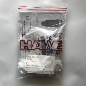 hawe哈威風電使用傳感器DT2-2 壓力繼電器