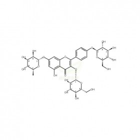 山柰酚3,4'-二葡萄糖-7-鼠李糖苷維克奇生物中藥對照品