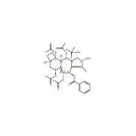 云南紅豆杉酯甲維克奇生物中藥對照品