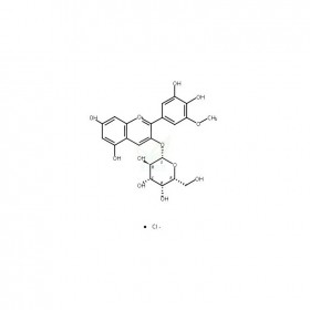 氯化矮牽牛素-3-O-半乳糖苷維克奇生物實驗室中藥對照品