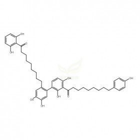 Giganteone C維克奇生物實(shí)驗(yàn)室中藥對(duì)照品