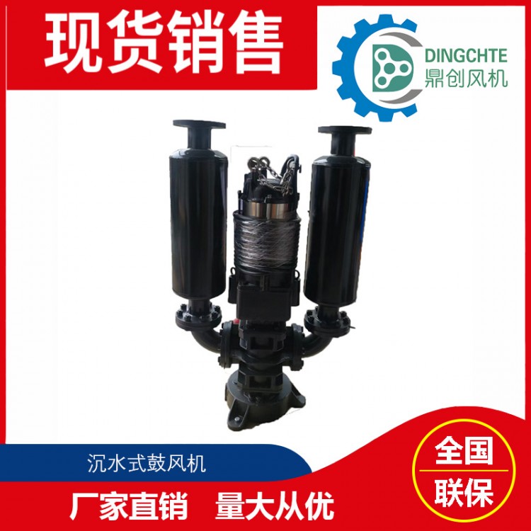 DSW-8055潛水風(fēng)機(jī)  醫(yī)院污水處理曝氣裝置潛水風(fēng)機(jī)