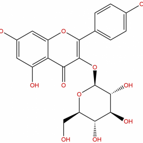 【麥德生】【分析標(biāo)準(zhǔn)品】紫云英苷；山柰酚-3-O-葡萄糖苷  480-10-4 20mg/支 HPLC＞99% 克級現(xiàn)貨供應(yīng) 順豐包郵 支持貨到付款