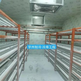 成都冷凍速凍庫設計安裝 冷庫工程建造 廠家直銷