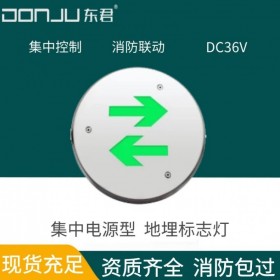廣東東君照明 地面標(biāo)志燈 地埋式 3W 防水 智能消防應(yīng)急疏散指示 雙向 A型36V 集中電源 可變向 集中控制 DJ-01N