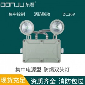 廣東東君照明 防爆雙頭燈 應(yīng)急照明 壁掛 DC36V 智能聯(lián)動 IP65 集中電源 DJ-02I