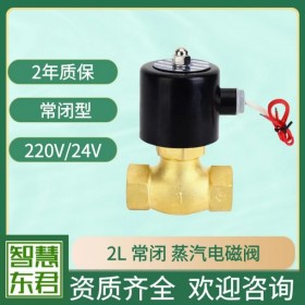 2L蒸汽電磁閥活塞式蒸汽電磁閥2L170-10/15耐高溫全銅鍋爐熱水180度