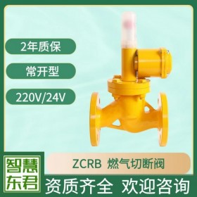 ZCRB燃?xì)饩o急切斷閥 220V防爆電磁閥天然氣管道用監(jiān)測儀器聯(lián)接 快速關(guān)閉燃?xì)饩o急關(guān)斷閥 24V防爆天然氣電磁閥