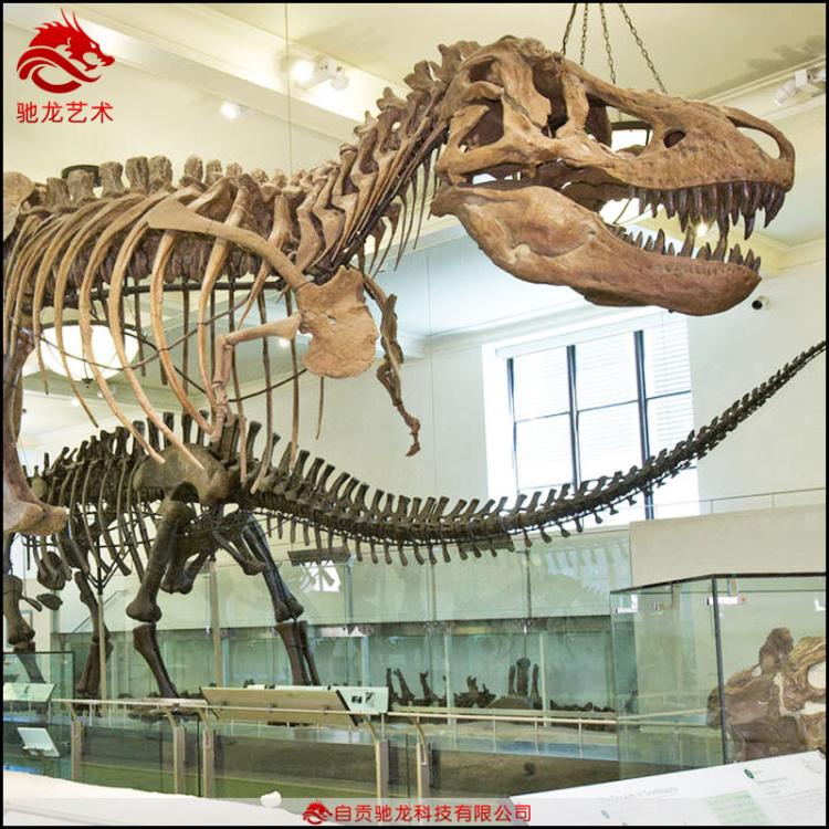 恐龍仿真骨架化石霸王龍牛龍骨架長15 12 11 10 T-rex skeleton仿真恐龍骨架化石公司