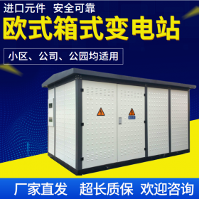 四川箱式變電站,成套電氣設(shè)備生產(chǎn)廠家,箱式變電站采購,支持定制