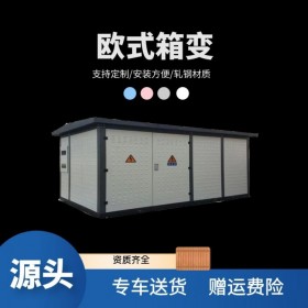 內(nèi)江箱式變電站,安裝變壓器廠家,定制成套電氣設(shè)備,傳控科技