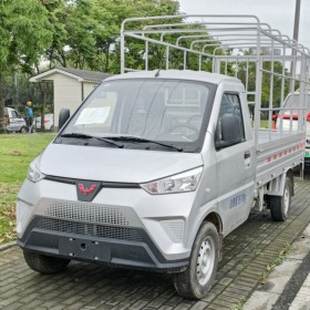 五菱EV50高欄2.7鵬輝新能源電動(dòng)貨車 成都電領(lǐng)動(dòng)新能源