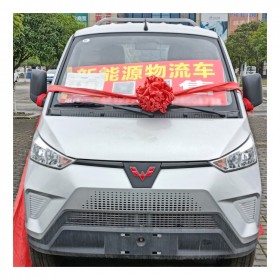 成都五菱EV50平板2.7鵬輝 新能源電動(dòng)貨車