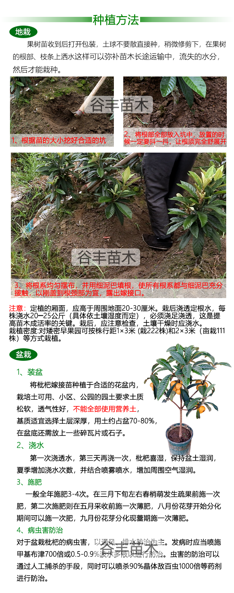 6種植方法