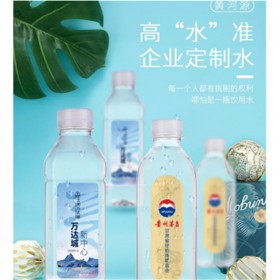 天然礦泉水定制 帶logo小瓶裝 企業(yè)廣告婚禮活動礦泉水訂做 500ml*24