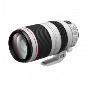 佳能 EF 100-400mm f/4.5-5.6L IS II USM 兼顧高畫質(zhì)與操作性的L級(jí)遠(yuǎn)攝變焦鏡頭