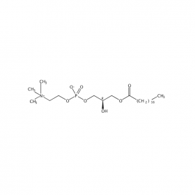 【樂美天】溶血磷脂酰膽堿（lysophosphatidylcholine） | CAS No：19420-57-6  GC≥98% 25mg/支中藥對(duì)照品標(biāo)準(zhǔn)品