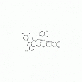 【樂美天】9’-丹酚酸B單甲酯 （9-Methyl?salvianolate B） | CAS No：1167424-31-8 HPLC≥98% 20mg/支 中藥對照品 標準