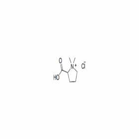 【樂美天】鹽酸水蘇堿 ｜ CAS No：4136-37-2	 HPLC≥98%	20mg/支 分析標(biāo)準(zhǔn)品/對照品