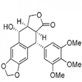 DK0031	苦鬼臼毒素	477-47-4	HPLC≥98% 	20mg/支 中藥對照品 標(biāo)準(zhǔn)品