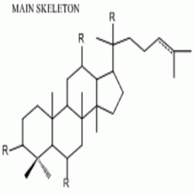 【樂美天】三七總皂苷	HPLC≥80%  100mg/支 分析標(biāo)準(zhǔn)品/對照品