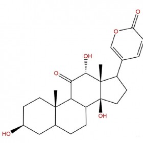 【樂(lè)美天】偽異沙蟾毒精  17008-69-4  HPLC≥98%  10mg/支中藥對(duì)照品/標(biāo)準(zhǔn)品