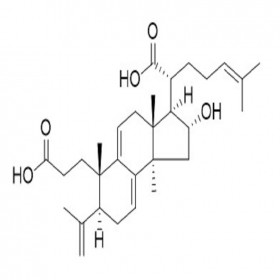 【樂(lè)美天】茯苓新酸B 137551-39-4  HPLC≥95% 20mg/支分析標(biāo)準(zhǔn)品/對(duì)照品