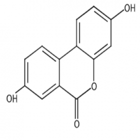 【樂美天】尿石素A  1143-70-0  HPLC≥98%  20mg/支 分析標(biāo)準(zhǔn)品/對(duì)照品