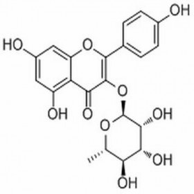 【樂美天】阿福豆苷 （山奈酚-3-O-吡喃鼠李糖苷）482-39-3  HPLC≥98%  10mg/支標(biāo)準(zhǔn)品/對照品