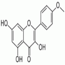 【樂美天】山柰素 491-54-3	HPLC≥98%  20mg/支標(biāo)準(zhǔn)品/對照品