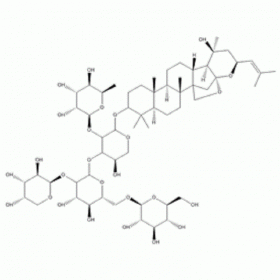 酸棗仁皂苷A 55466-04-1 HPLC≥98%20mg/支 分析標(biāo)準(zhǔn)品/對(duì)照品