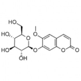 【樂美天】東莨 菪苷 531-44-2 HPLC≥98%  20mg/支  分析標(biāo)準(zhǔn)品/對照品