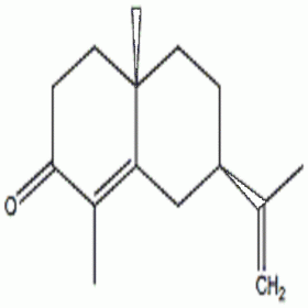 【樂美天】α-香附酮	473-08-5	HPLC≥98% 0.15ml/支  分析標(biāo)準(zhǔn)品/對照品