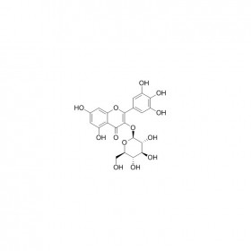 【樂美天】楊梅素-3-O-β-D-葡萄糖苷   CAS No：19833-12-6 	HPLC≥98%  5mg/支分析標(biāo)準(zhǔn)品對照品