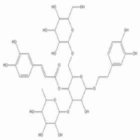 松果菊苷82854-37-3 HPLC≥98% 20mg/支 分析標(biāo)準(zhǔn)品/對(duì)照品