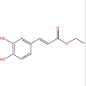 咖啡酸乙酯102-37-4 HPLC≥98%  20mg/支 分析標(biāo)準(zhǔn)品/對照品