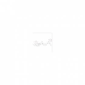 【樂(lè)美天】Acanthopanaxoside B   CAS No：915792-03-9  HPLC≥98%  10mg/支  中藥對(duì)照品標(biāo)準(zhǔn)品