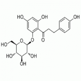 【樂(lè)美天】根皮苷  60-81-1  HPLC≥98%   20mg/支分析標(biāo)準(zhǔn)品/對(duì)照品