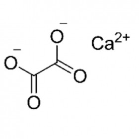 【樂(lè)美天】草酸鈣 563-72-4	HPLC≥99%	25g/支 分析標(biāo)準(zhǔn)品/對(duì)照品