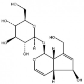 【樂(lè)美天】桃葉珊瑚苷 CAS號(hào)：479-98-1 HPLC≥98%  20mg/支中藥對(duì)照品標(biāo)準(zhǔn)品