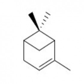 α-蒎烯80-56-8GC≥98% 20mg/支分析標(biāo)準(zhǔn)品/對照品
