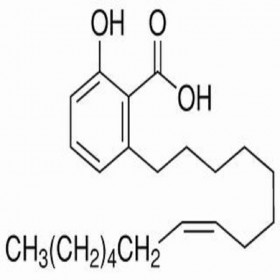 【樂美天】銀杏酚酸（15:1） 22910-60-7  HPLC≥98%   20mg/支標(biāo)準品對照品